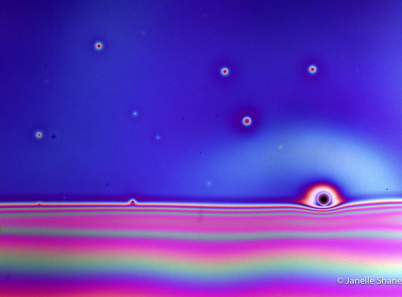 Illustration for article titled 16 Incredible Animals and Landscapes You Can Only See With a Microscope
